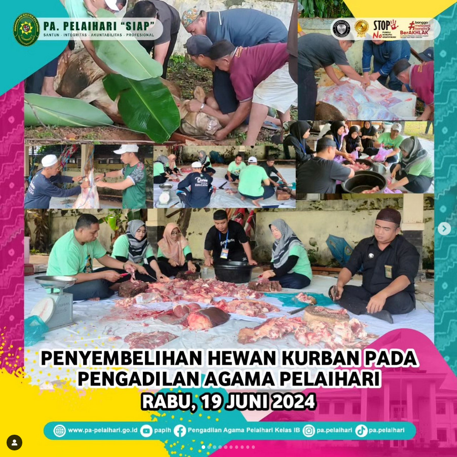 WhatsApp Image 2024 06 26 at 10.00.58 AM